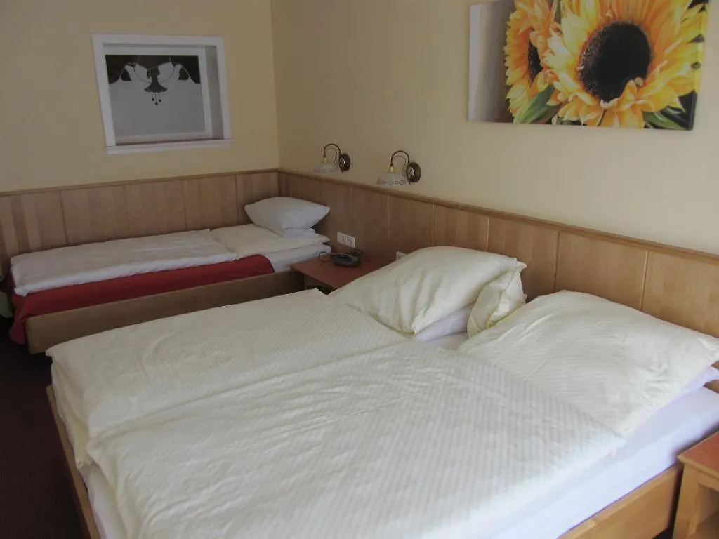 Pension Zur Alten Schmiede Zwiesel 3*,